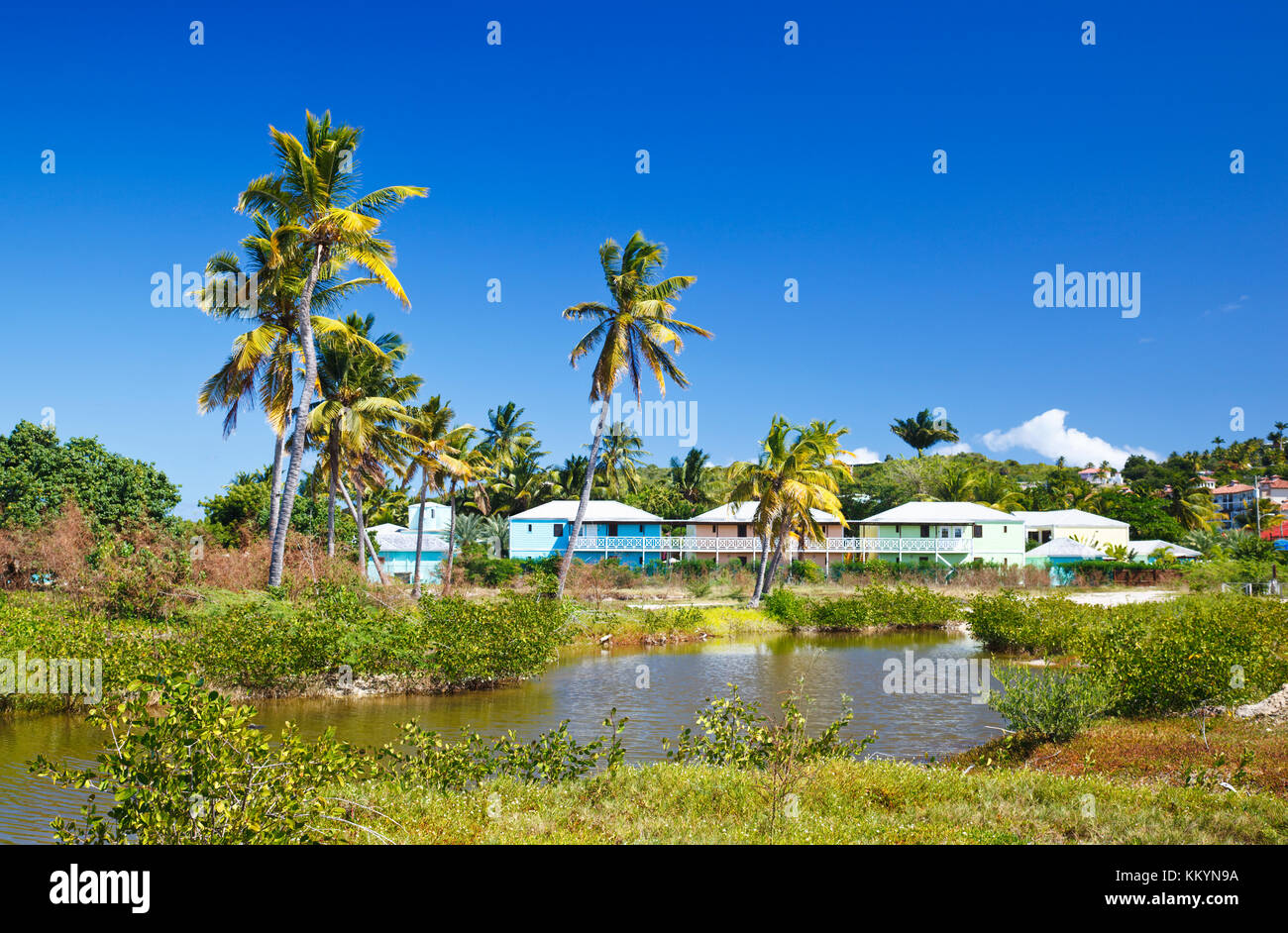 A caribbean hotel with tall coconut palm trees and deep blue sky. Stock Photo