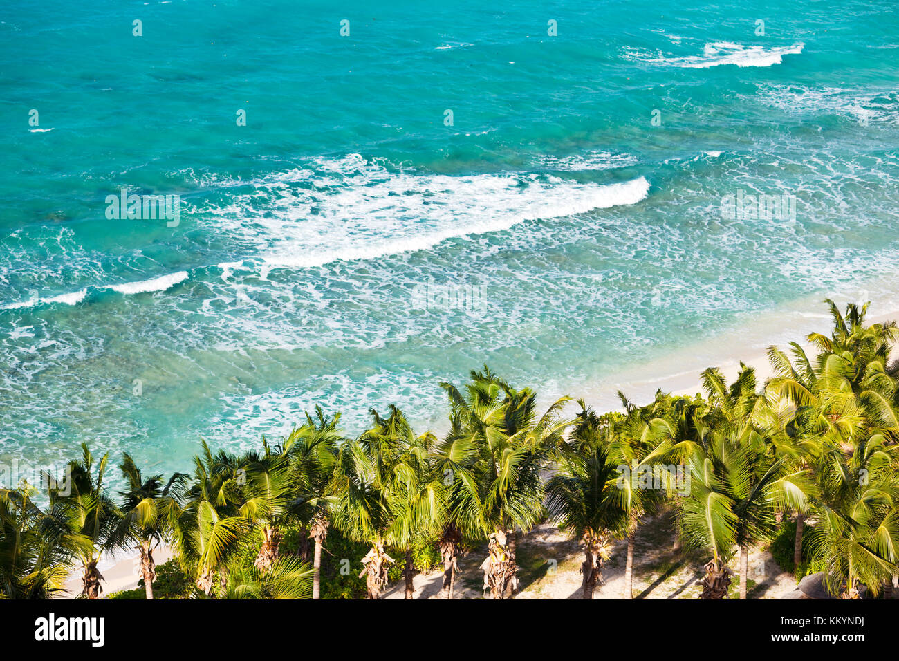A beautiful caribbean beach with lots of palm trees and tall waves seen from a high observation point. Galley Bay, Antigua. Stock Photo