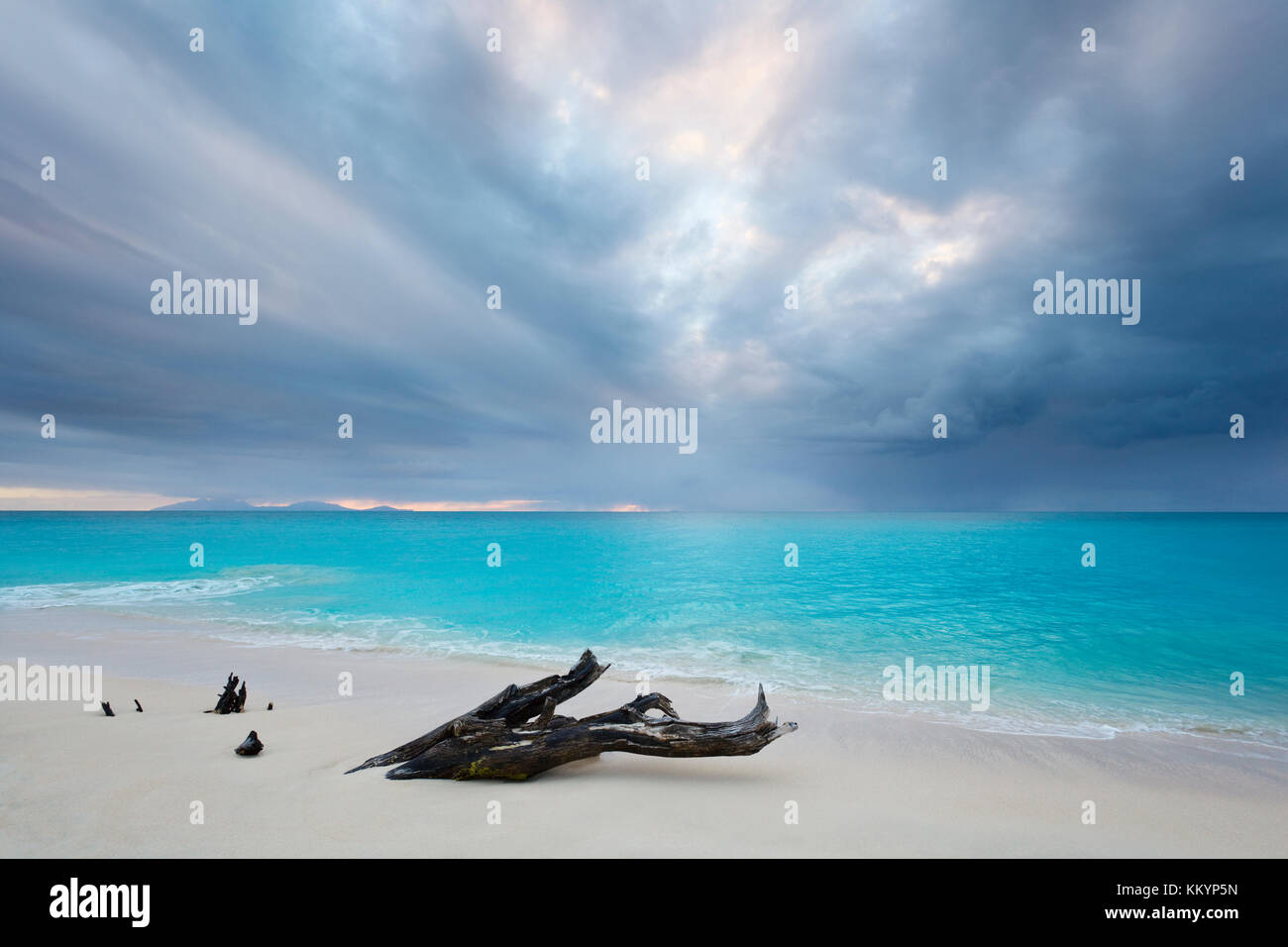 Storm clouds at Ffryes Beach in Antigua with driftwood in the sand. Stock Photo