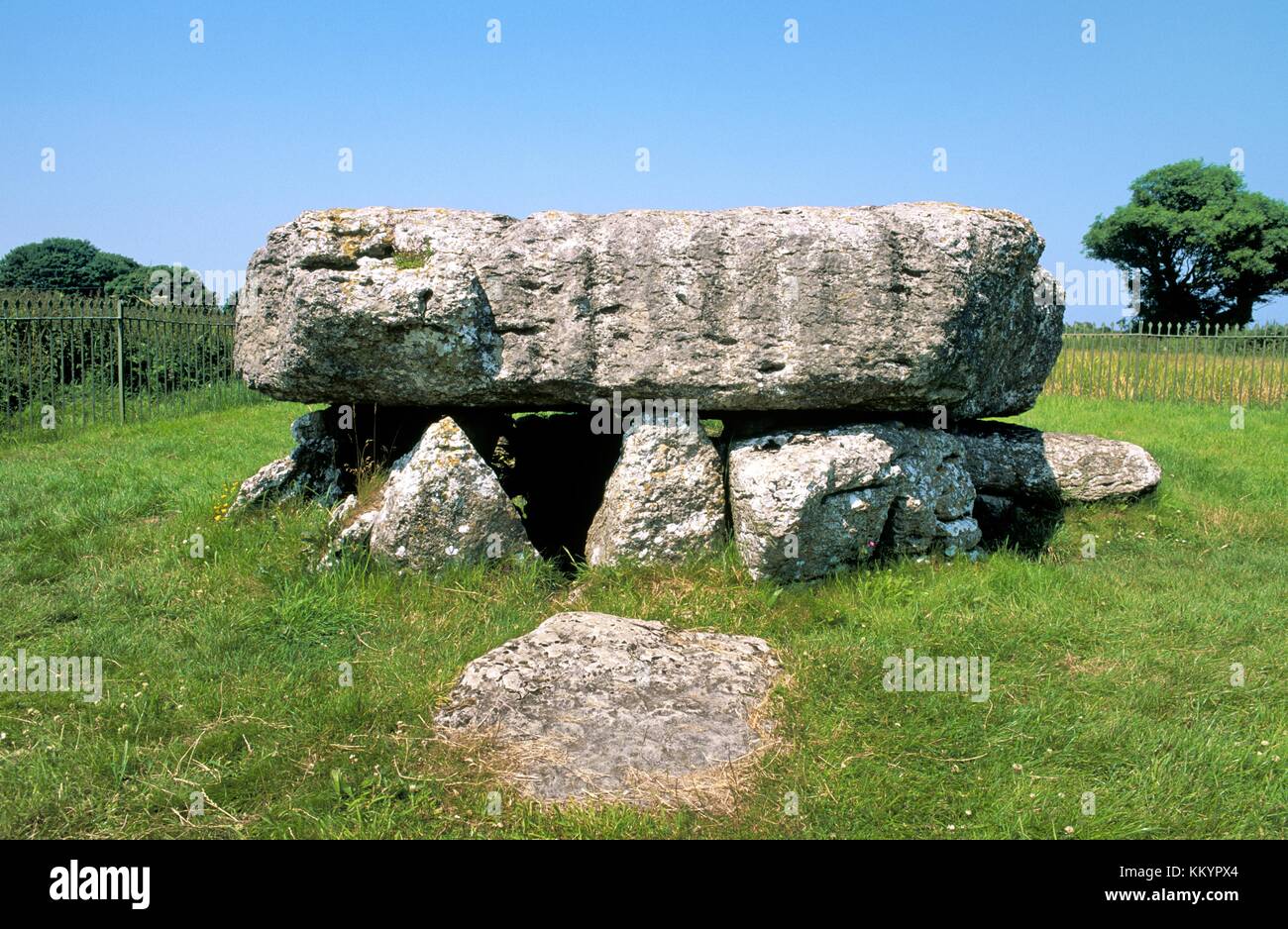 Lligwy prehistoric megalithic Neolithic burial chamber. Anglesey, Wales