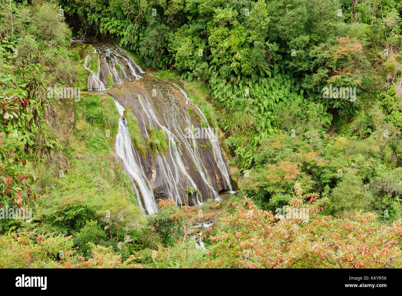 Tangoio Falls and the Kareaara stream in the Tangoio Falls Scenic Reserve north if Napier Hawkes Bay New Zealand Stock Photo