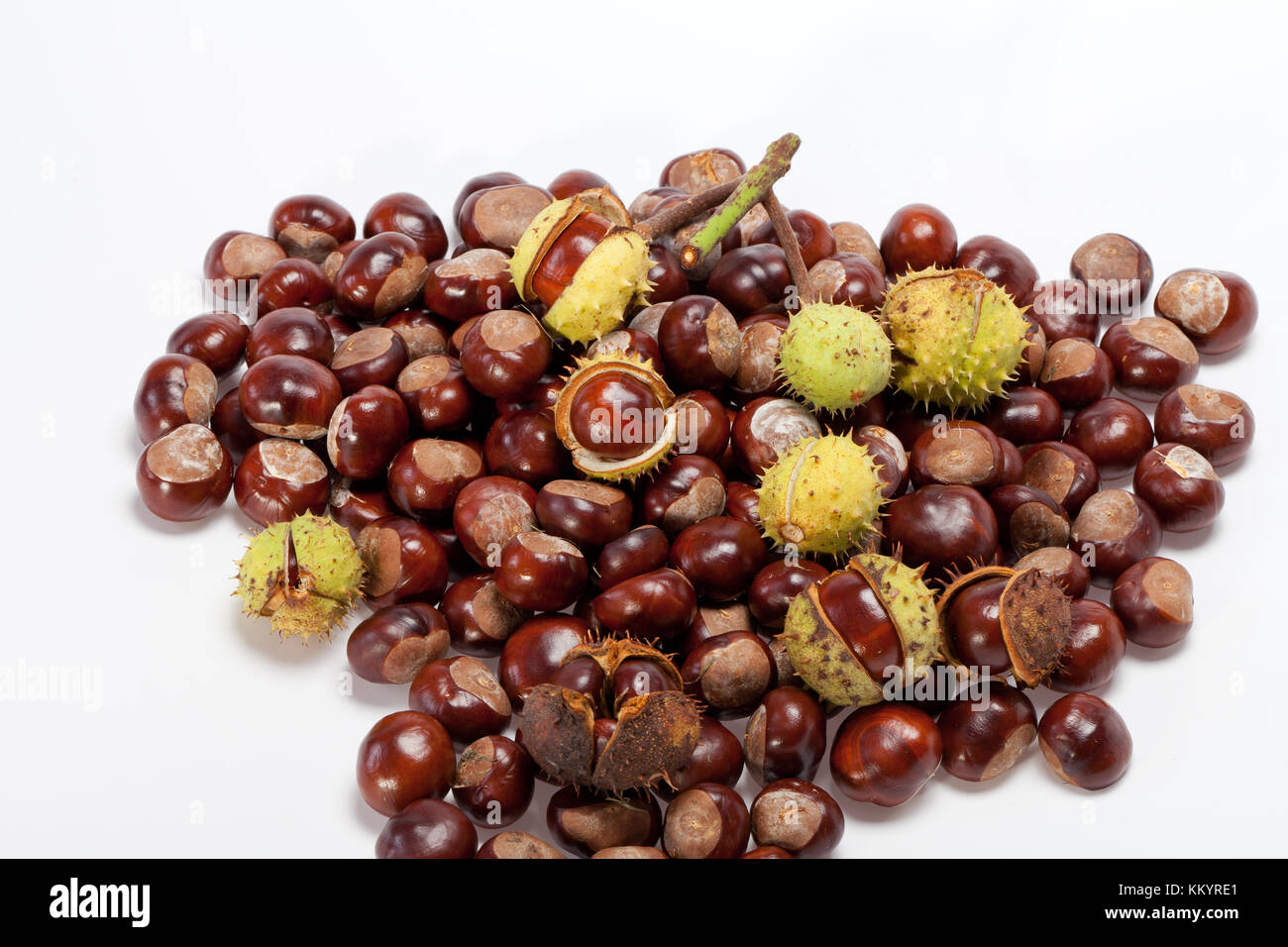 ripe chestnuts isolated on a white background Stock Photo - Alamy