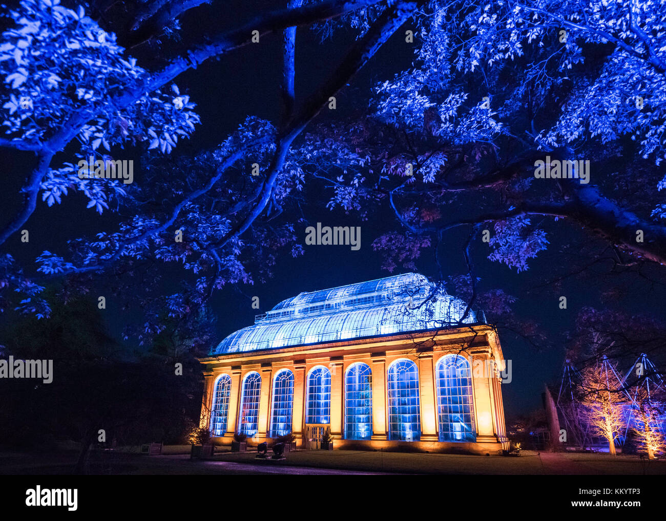 Edinburgh's newest festive event, Christmas at the Botanics. The illuminations held inside Edinburgh's Royal Botanic Gardens runs for 29 nights. The G Stock Photo