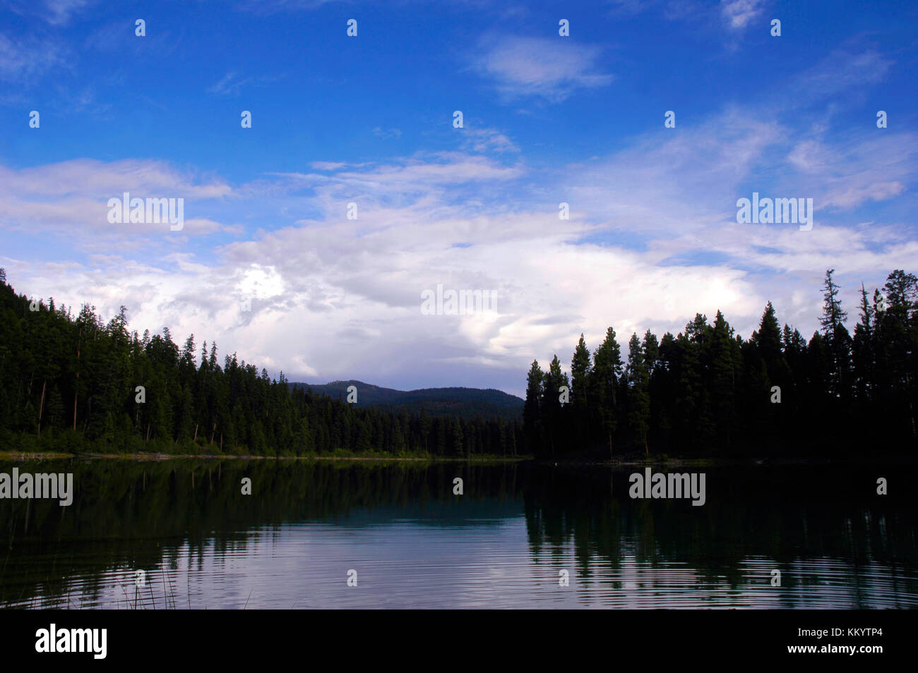 Horseshoe Lake, Montana Stock Photo Alamy
