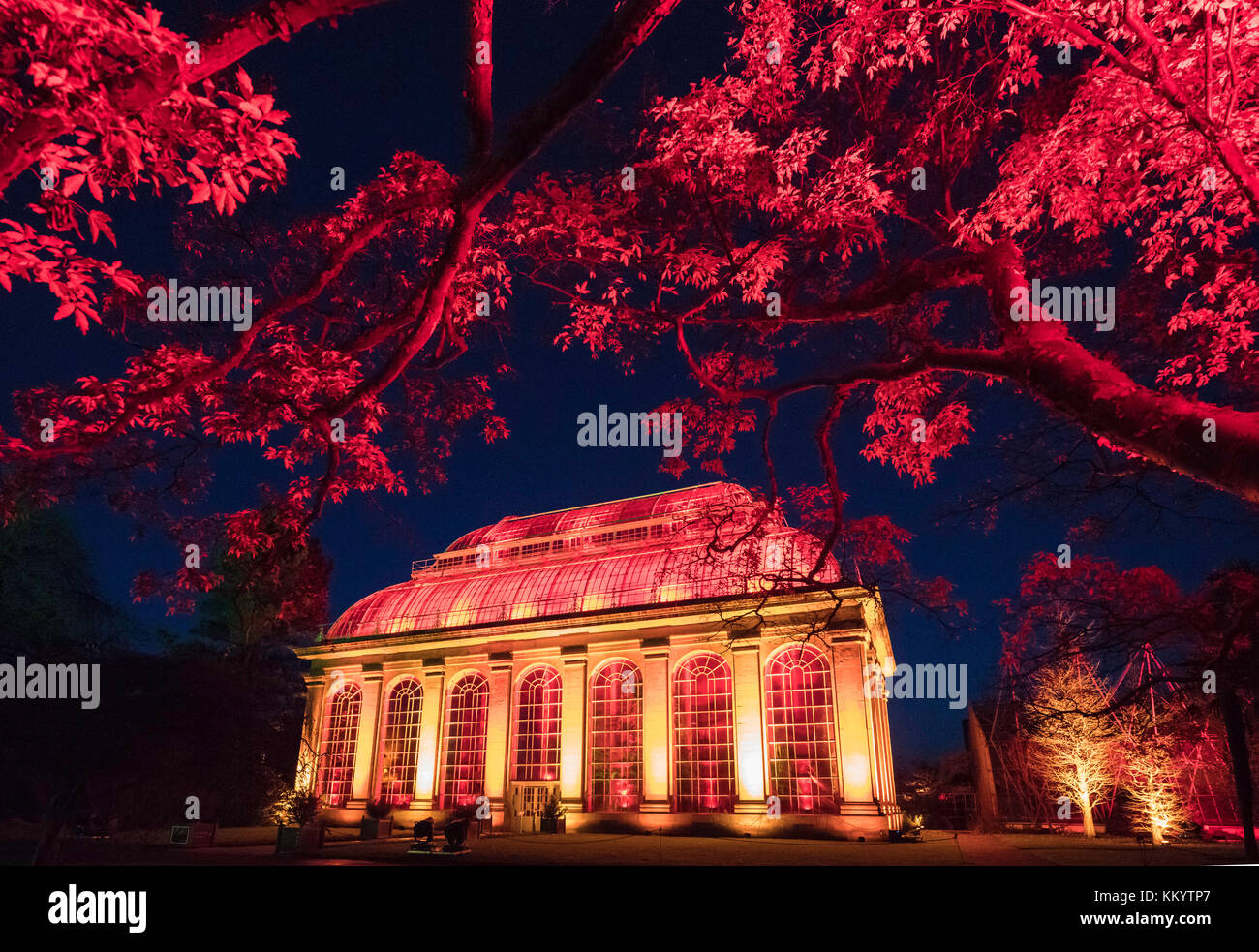 Edinburgh's newest festive event, Christmas at the Botanics. The illuminations held inside Edinburgh's Royal Botanic Gardens runs for 29 nights. The G Stock Photo