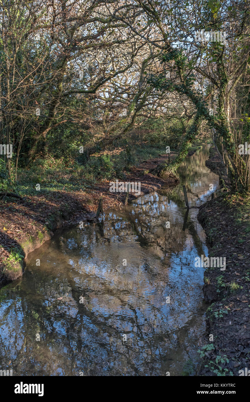 Watery, waterlogged land in the region around Par, Cornwall Stock Photo