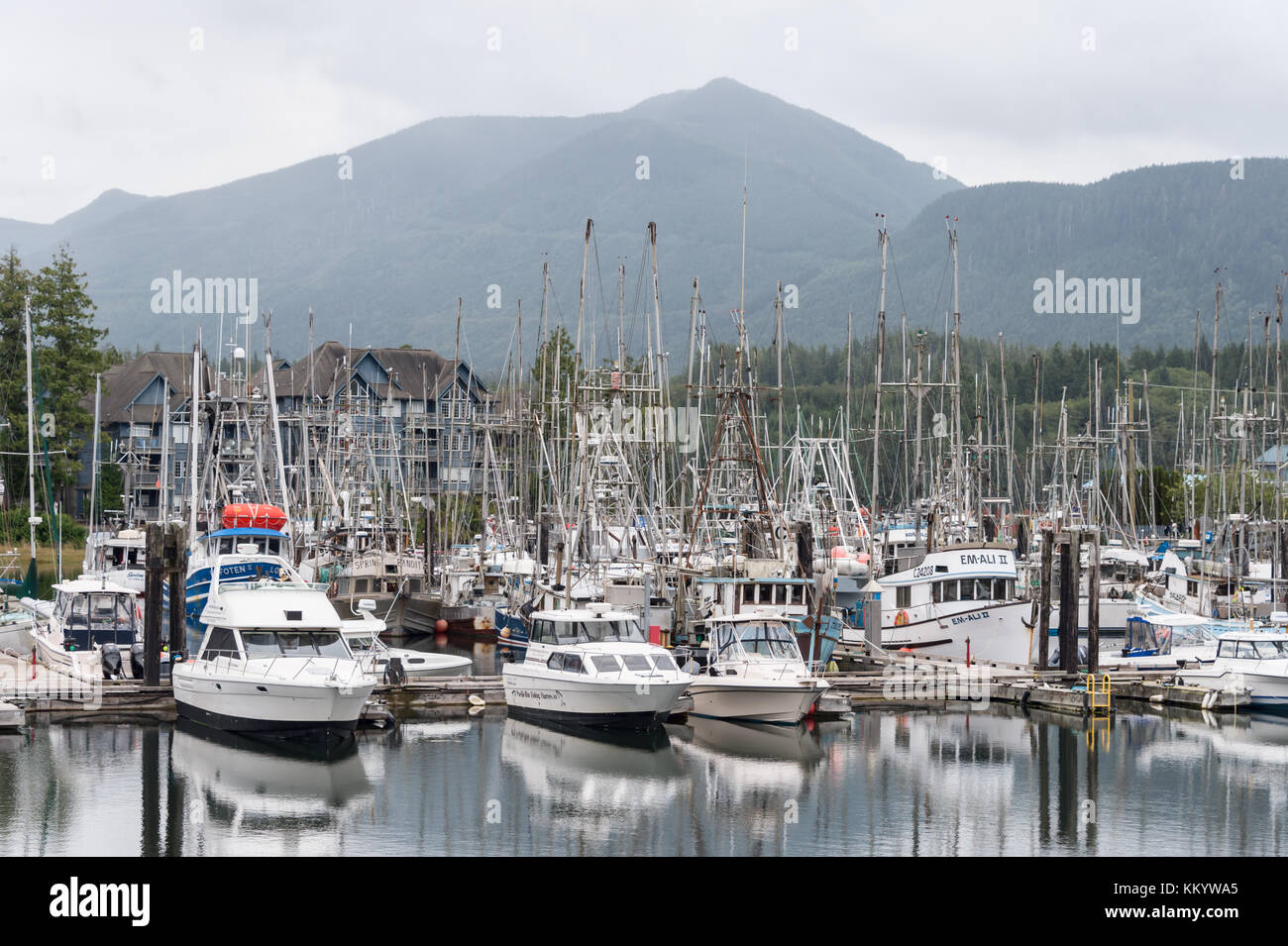 Ucluelet, BC, Canada - 10 September 2017: Yachts at Ucluelet Marina Stock Photo