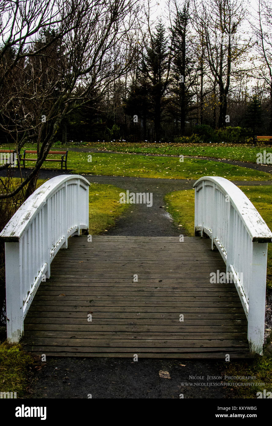 Bridge in the Park Stock Photo
