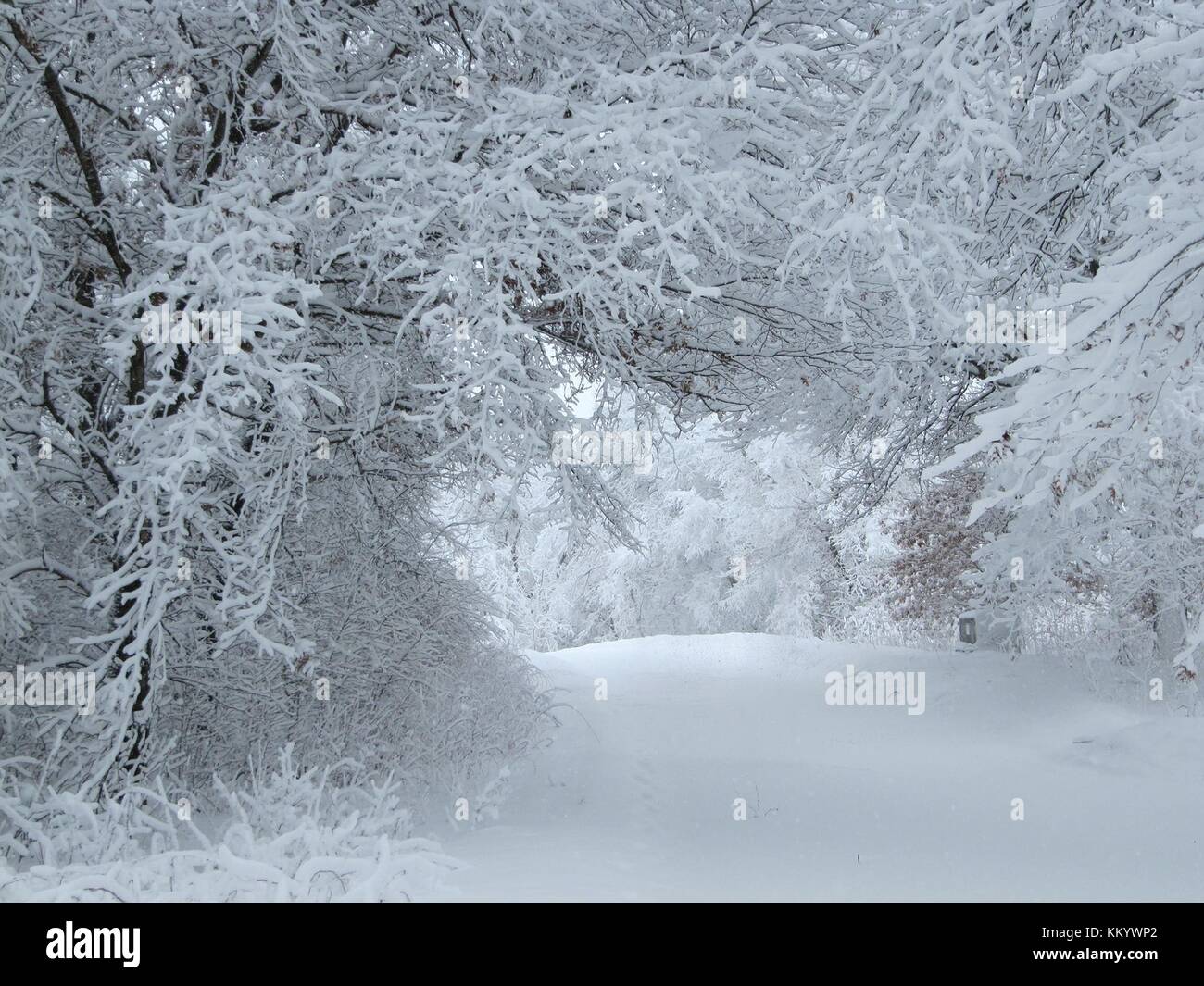 Fresh snow covers the ground in winter at the Trempealeau National