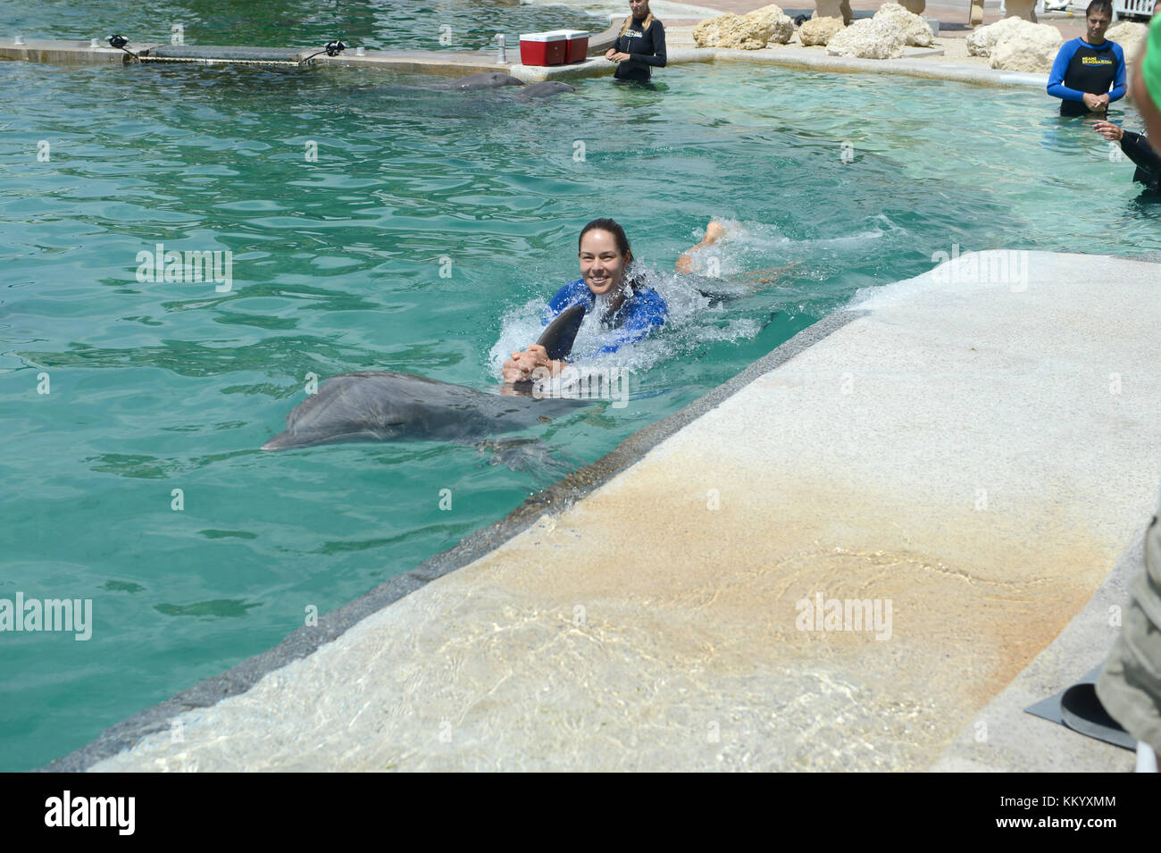 KEY BISCAYNE, FL - MARCH 18: Ana Ivanovic of Serbia swims with dolphins