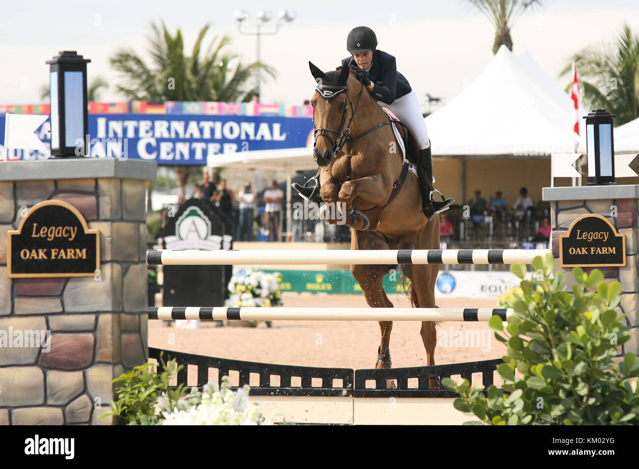 WELLINGTON, FL - JANUARY 26: Athina Onassis Roussel l participtaes in  the FTI Winter Equestrian Festival at the Palm Beach International Equestrian Center on January 26, 2014 in Wellington, Florida   People:  Athina Onassis Roussel Stock Photo