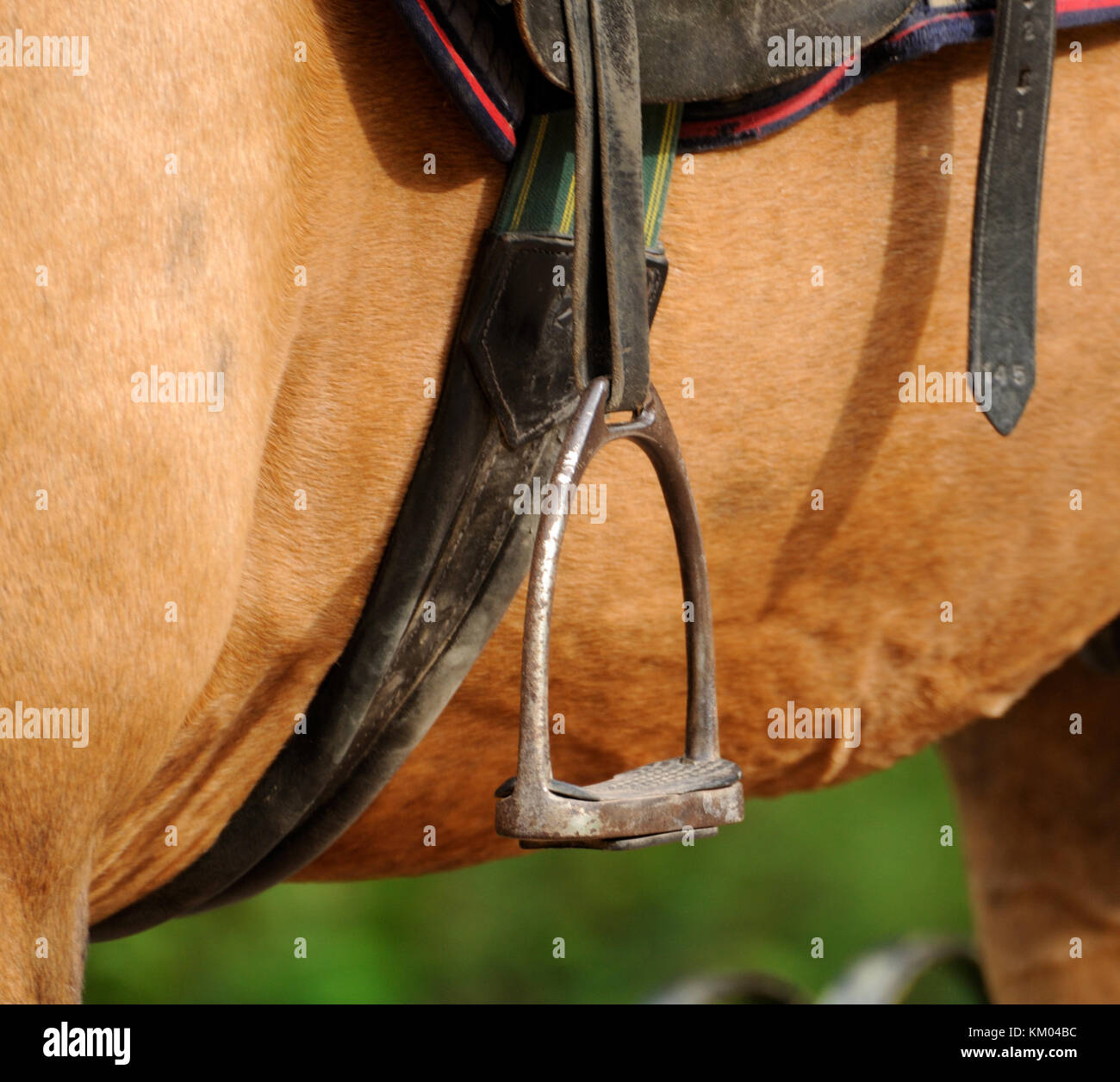Saddle and stirrup horse close up Stock Photo Alamy