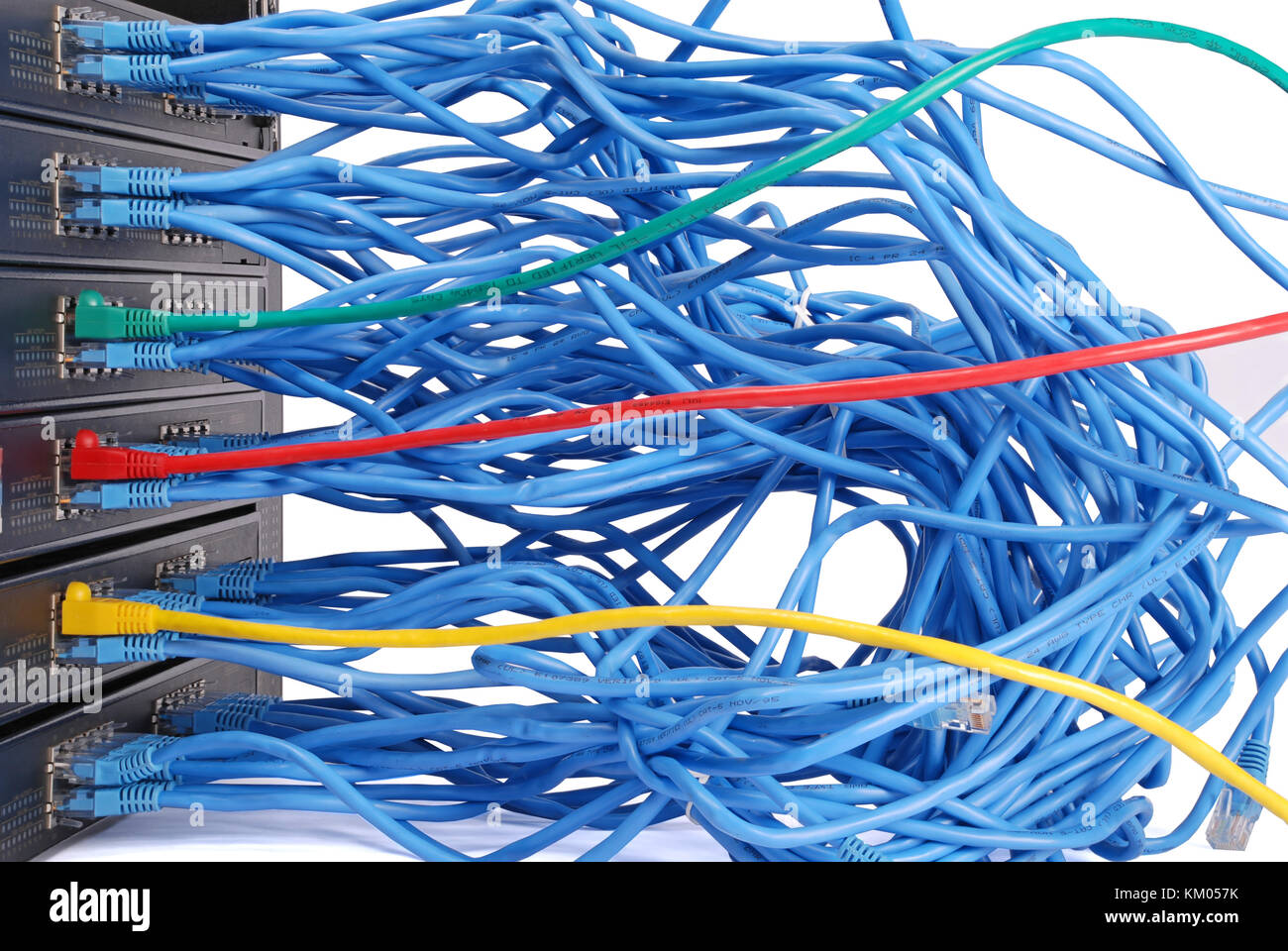 network hub and patch cables Stock Photo Alamy