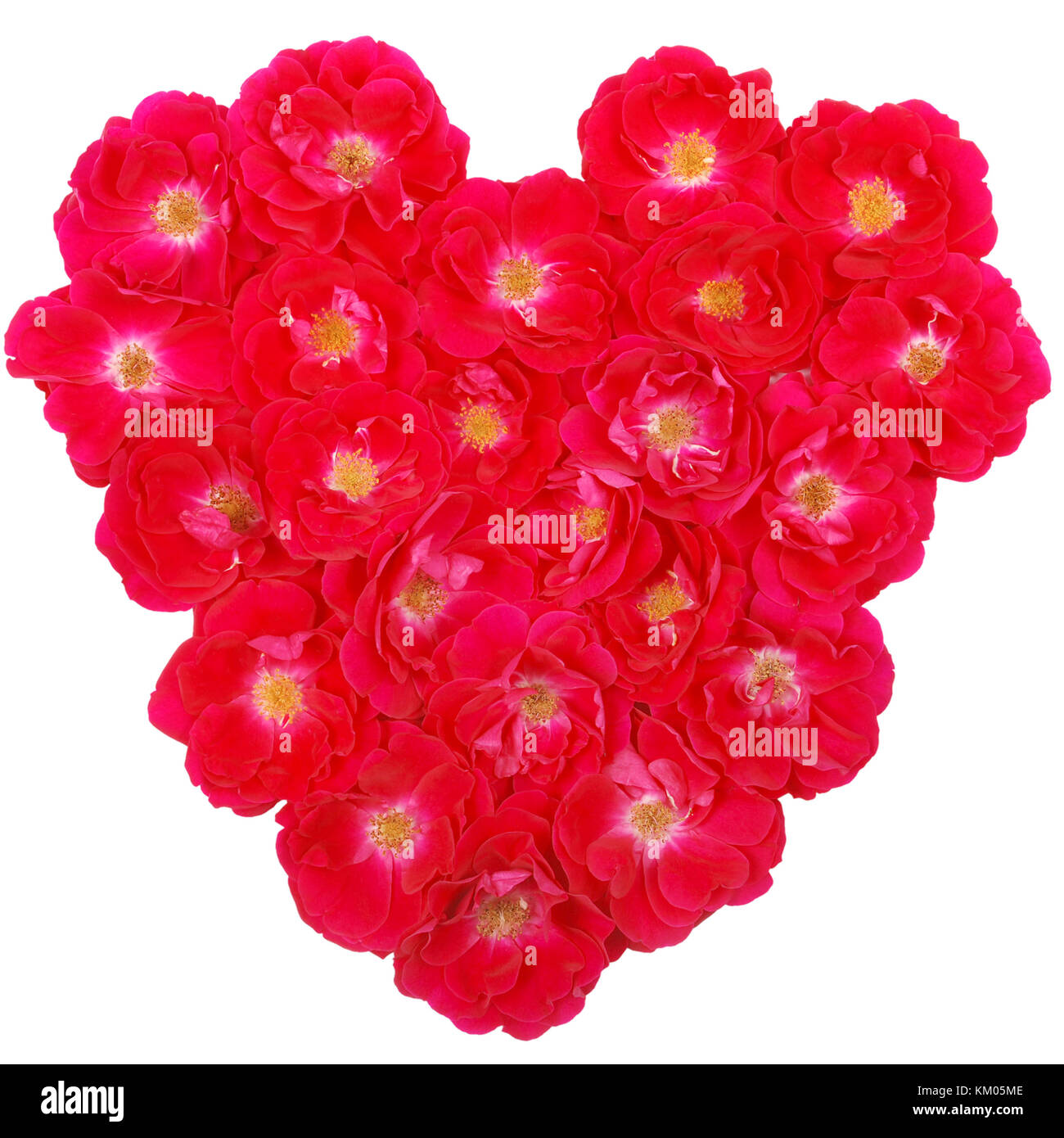 Valentines Day Rose Heart. Isolated on white Stock Photo - Alamy