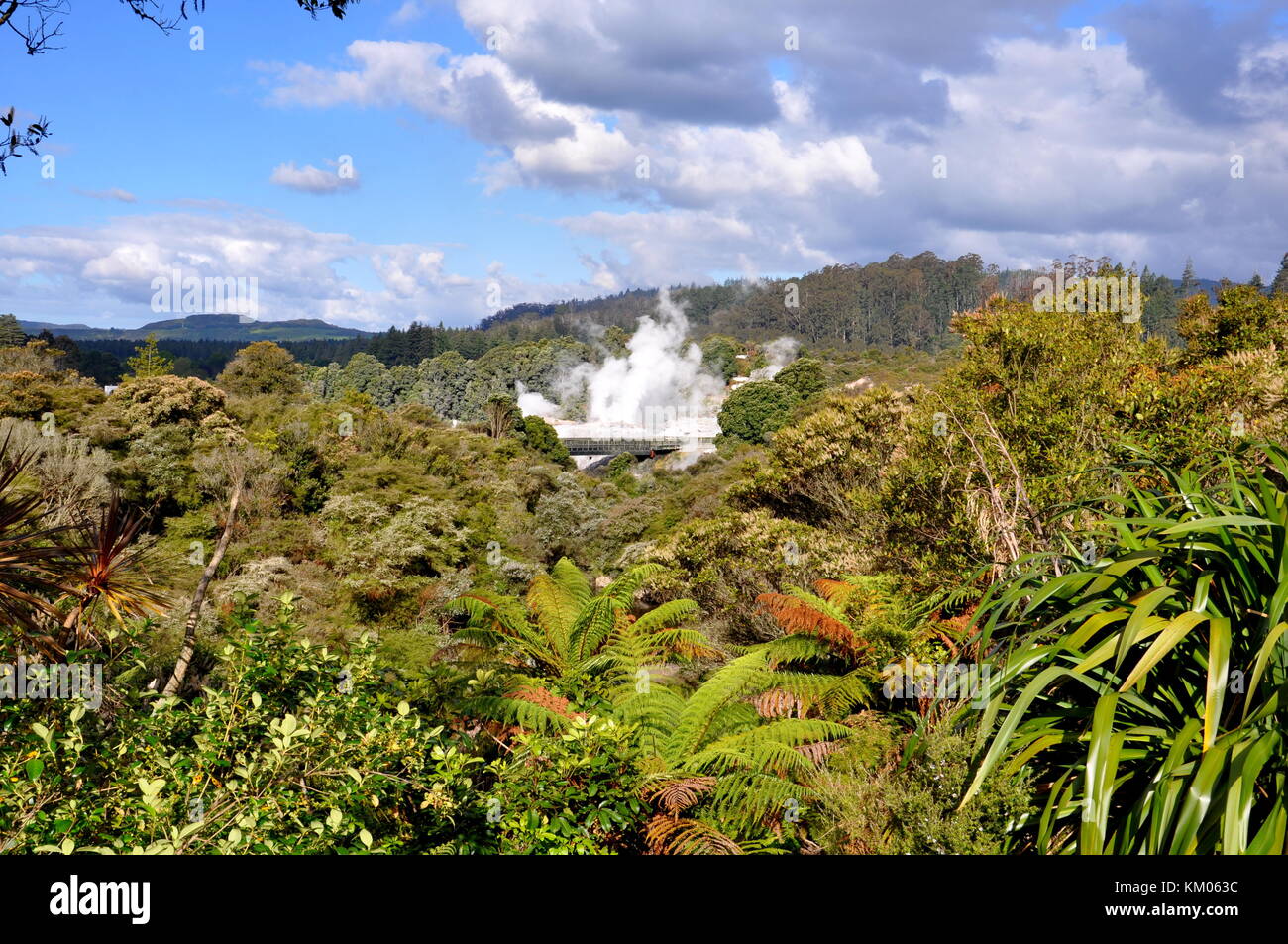 Pōhutu Geyser Exploding Pohutu geyser erupting in Whakarewarewa Thermal Valley, Rotorua, New ...