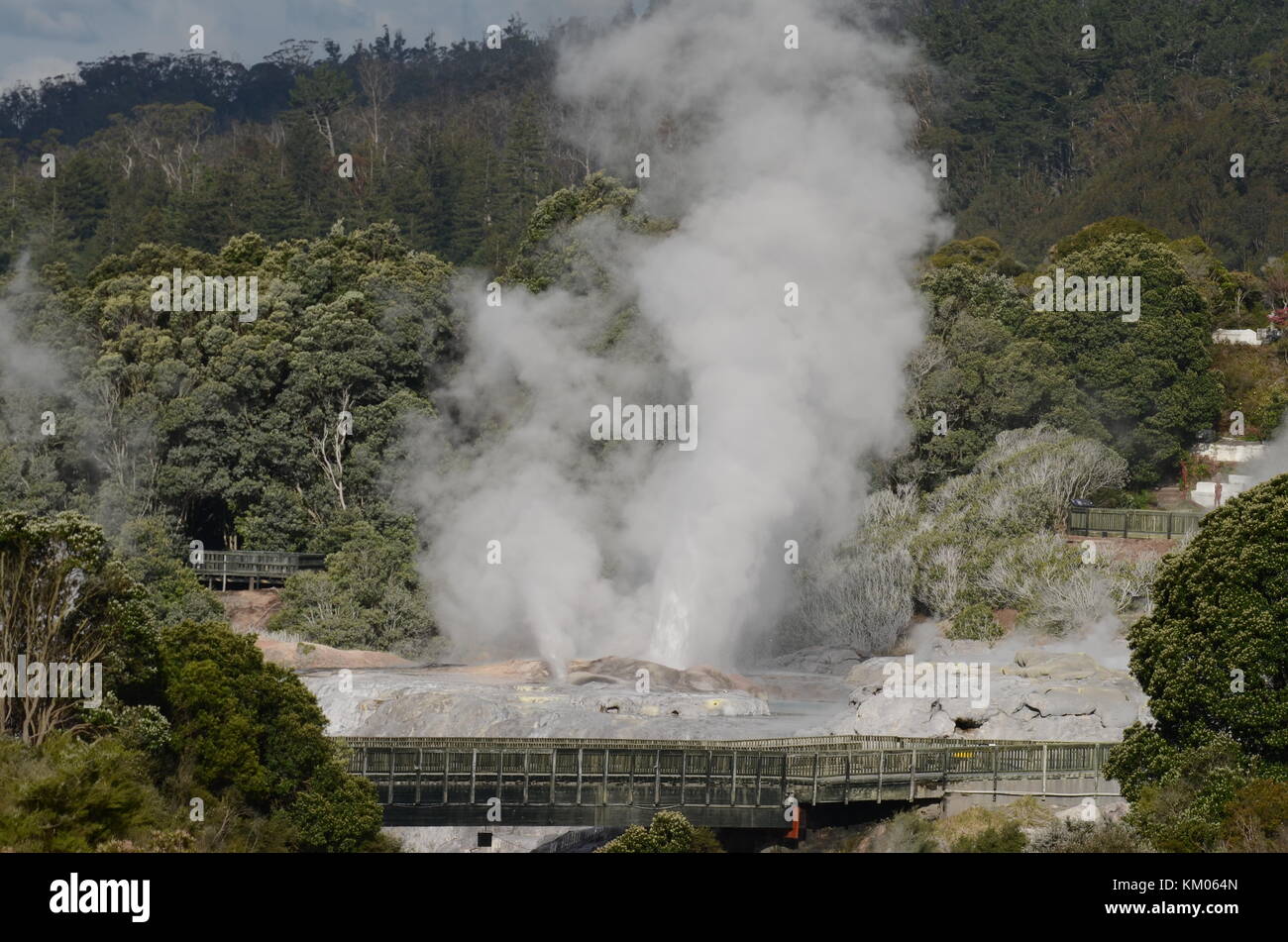 Pōhutu Geyser Exploding Furnarole hi-res stock photography and images - Alamy