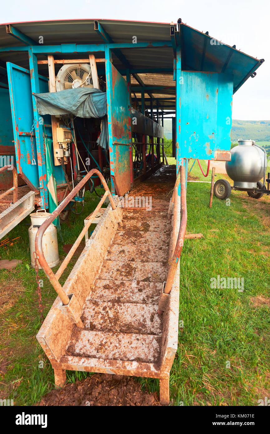 Milking parlor in the field, Franche Comte, France. Stock Photo