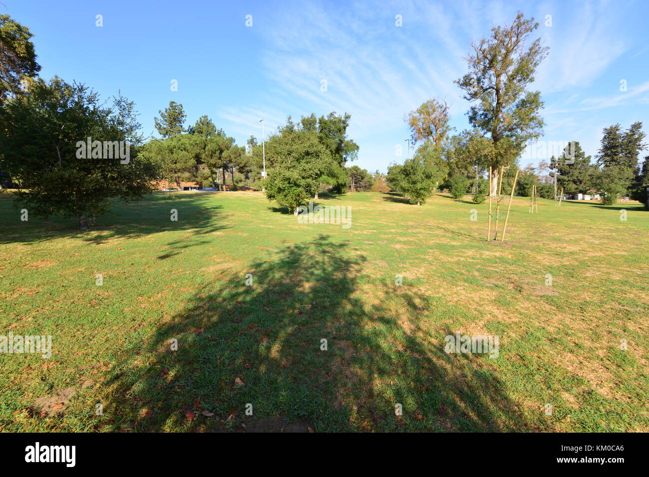 Griffith Park in Los Angeles Stock Photo Alamy