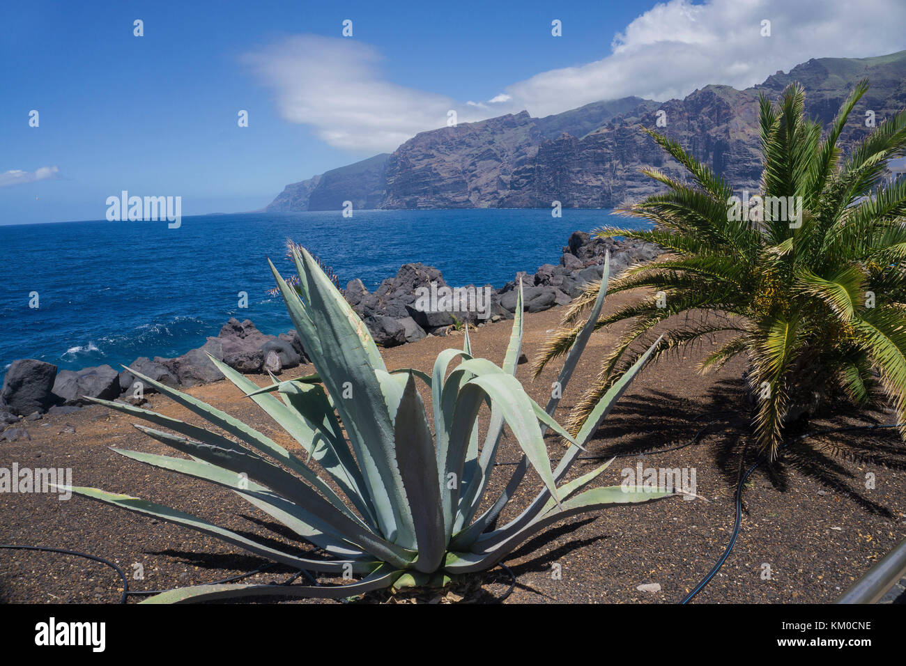 Los Gigantes, steep cliffs at the west coast, Tenerife island, Canary island, Spain Stock Photo