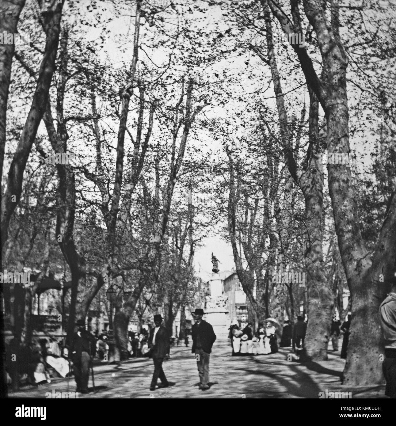 A tree lines avenue or street in the French city of Marseille around the end of the nineteenth century, showing many people. Stock Photo
