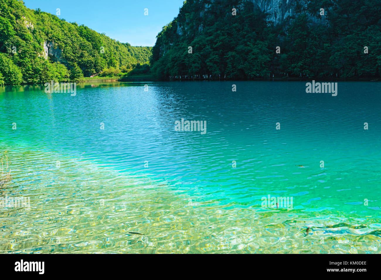 Plitvice Lakes National Park, Croatia, Europe. Natural park with waterfalls and turquoise water. UNESCO World Heritage site. Blue clear water of Plitv Stock Photo
