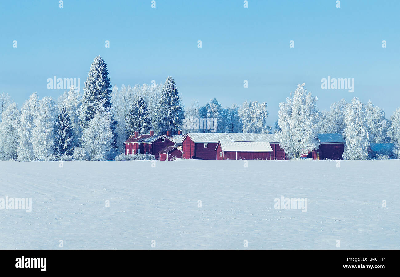 Cottage in winter countryside at Lapland, Finland, in a sunny day Stock ...