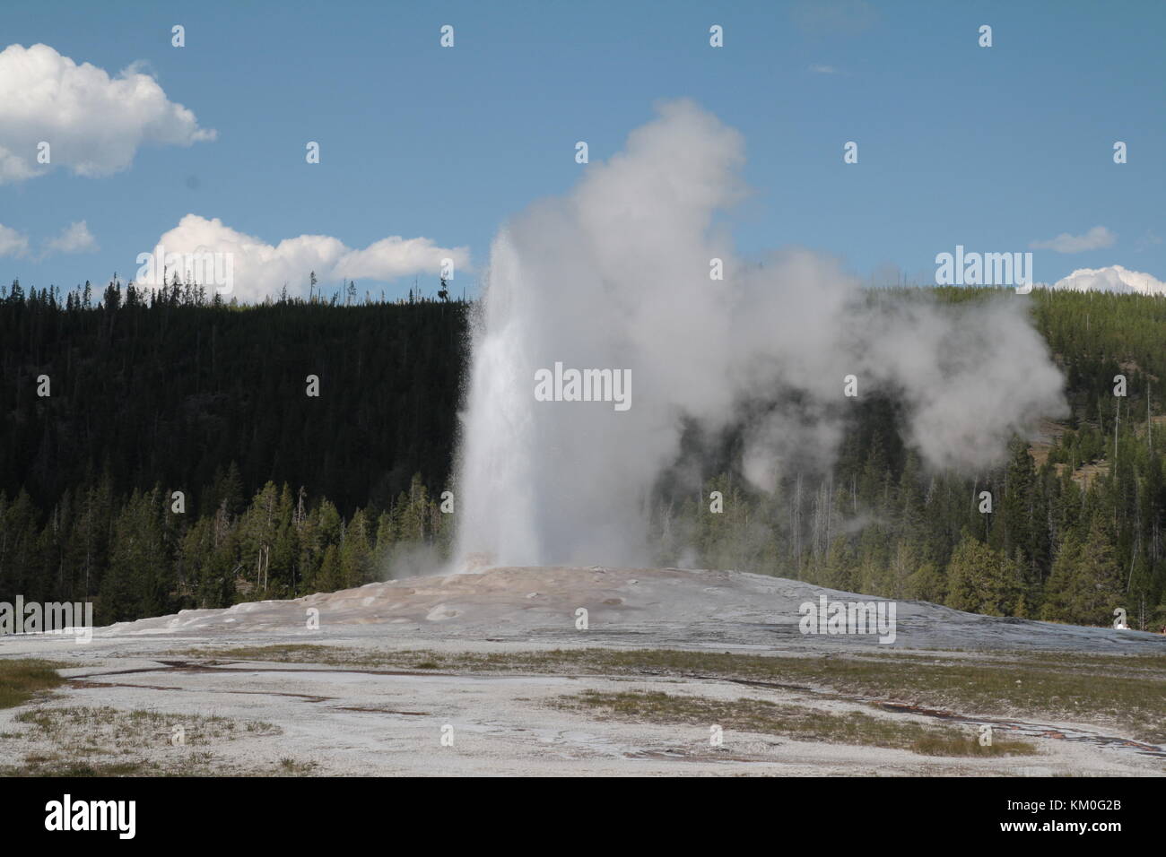 The eruption of the famous Old Faithful geyser, Yellowstone National Park, Wyoming, USA. Stock Photo