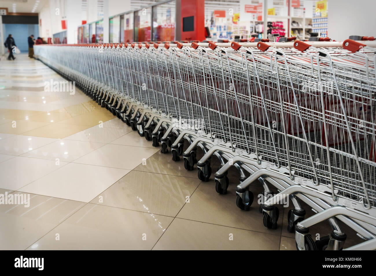 Many empty shopping carts in a row. Inside a large supermarket. Modern