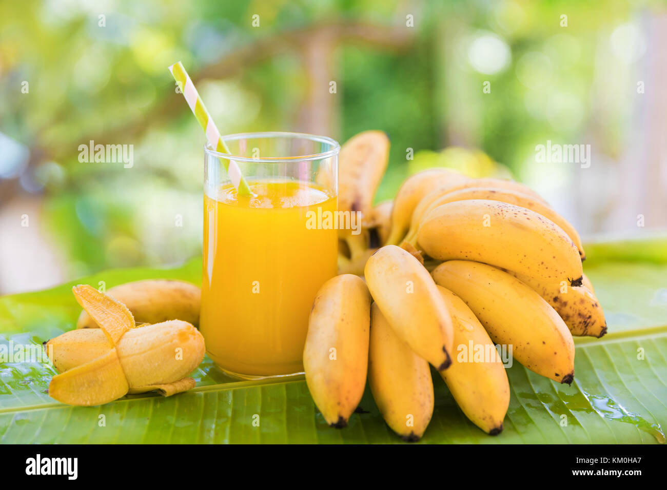 Bunch Of Bananas On Leaf With Smoothie Juice Drink In Glass Tropic 