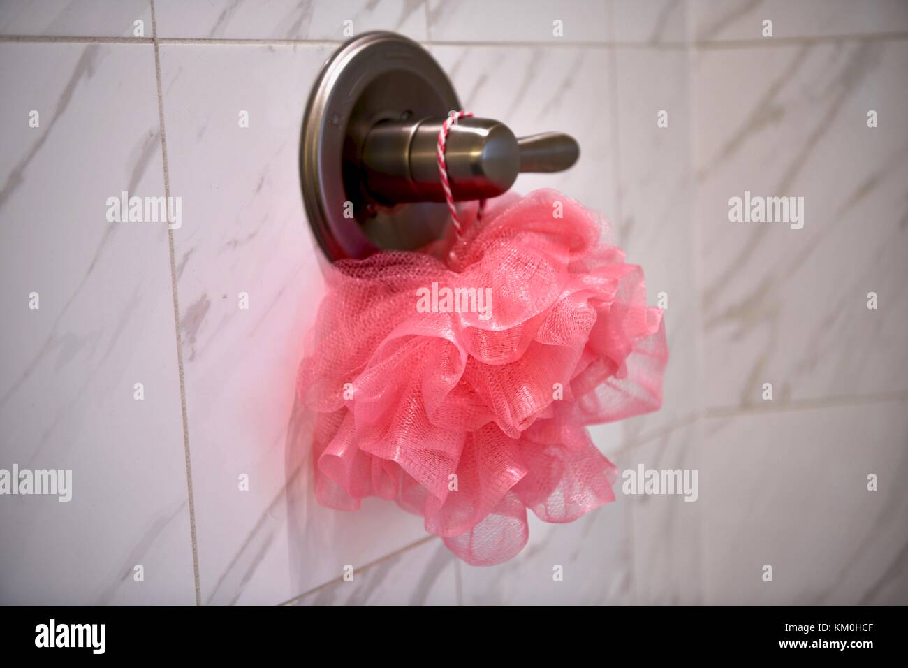 Shower loofah Stock Photo