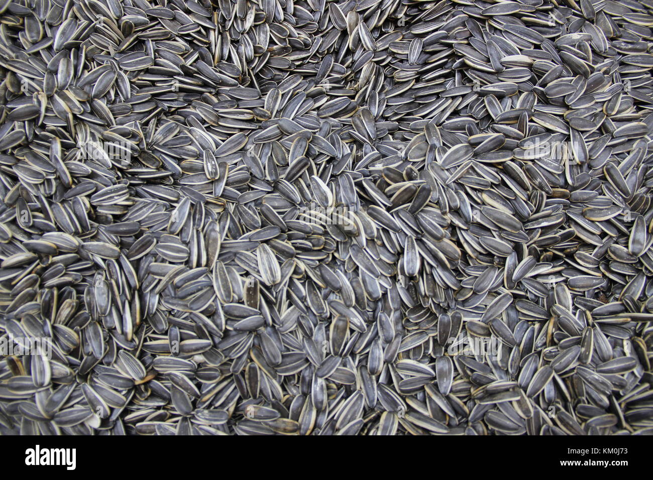 Sunflower seeds on sale in a supermarket Stock Photo
