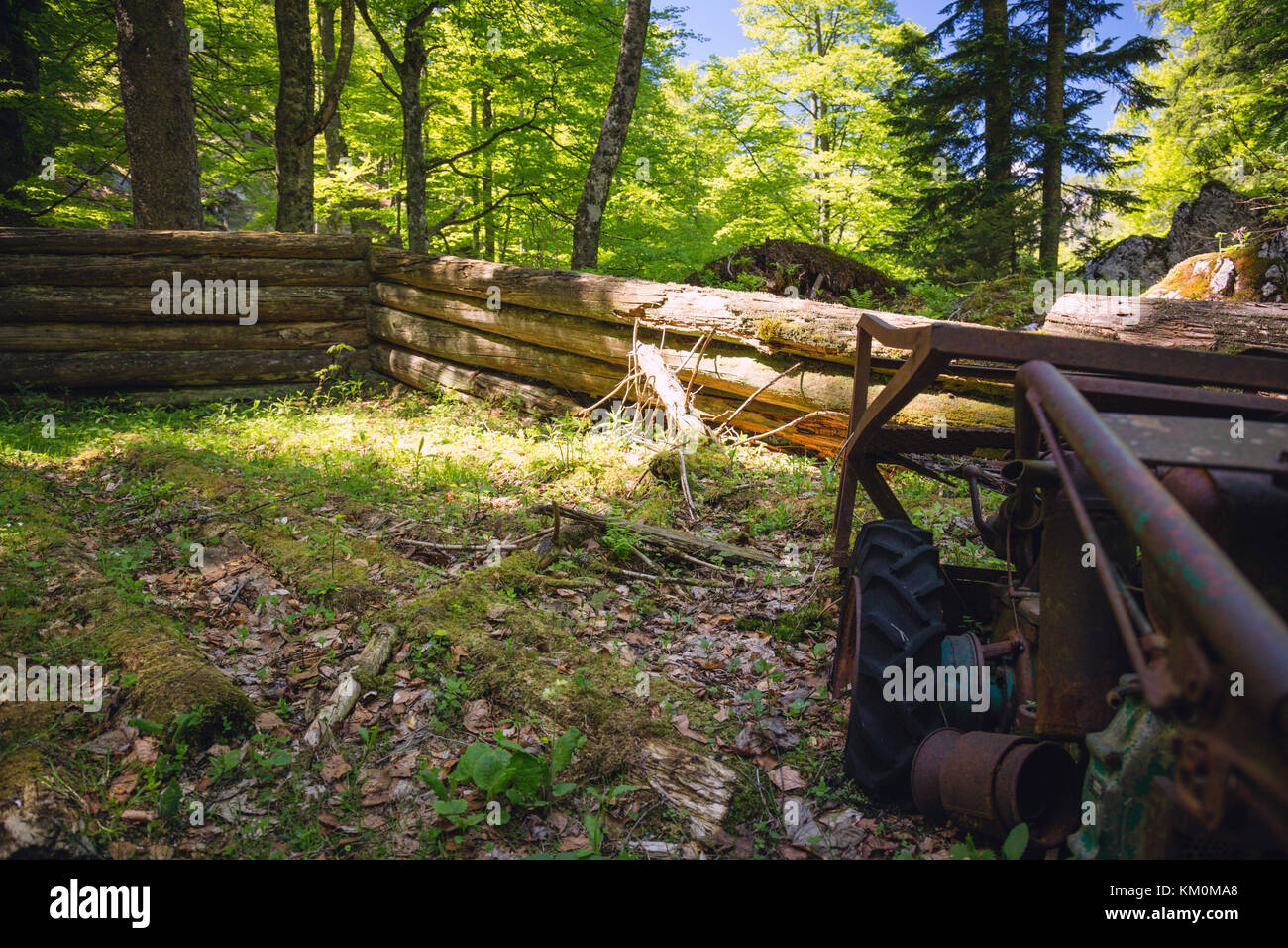 Wooden Ruin, Old vehicle in the forest, Historic, Hinterwildalpen, Wildalpen, Alps, Styria, Austria Stock Photo