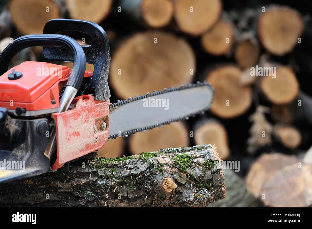 Chainsaw blade hires stock photography and images Alamy