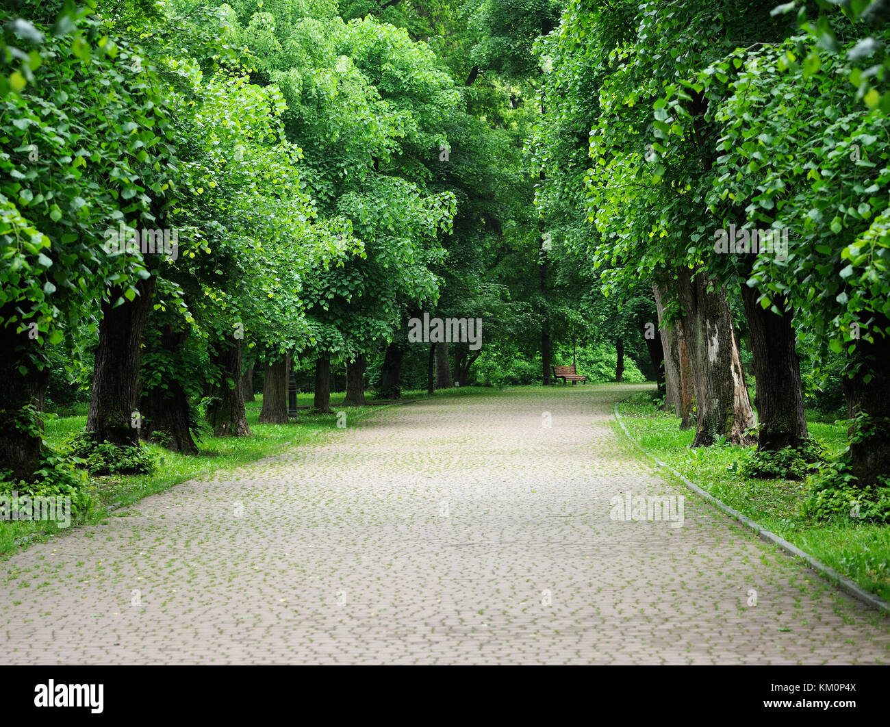 Green Alley High Resolution Stock Photography and Images - Alamy