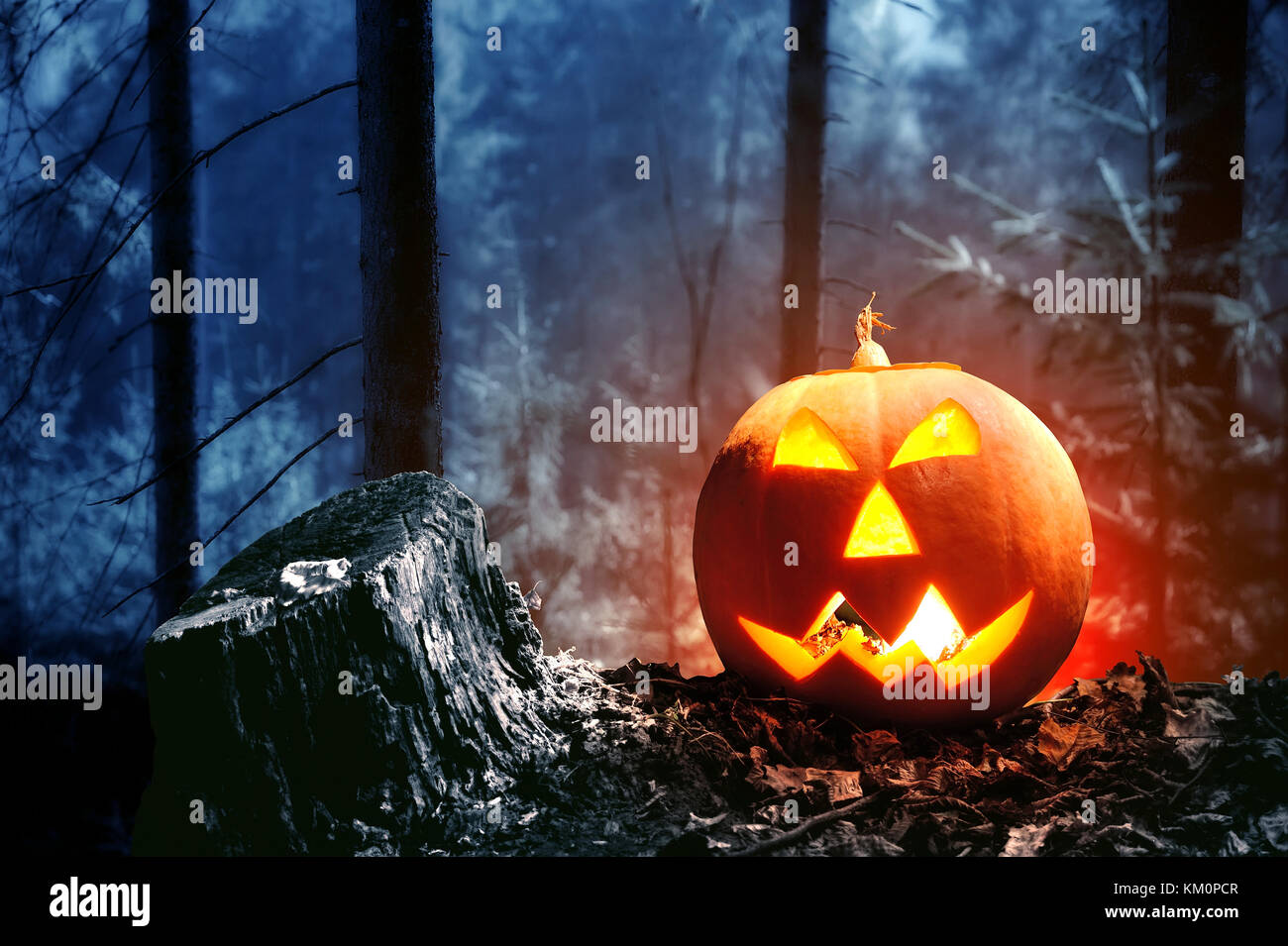 Halloween pumpkin with candle in dark forest Stock Photo
