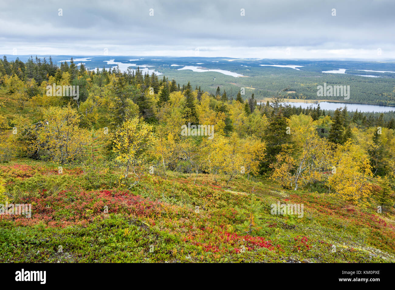 Mountains, forests, lakes view in autumn. Fall colors - ruska time in Iivaara. Oulanka national park in Finland. Lapland, Nordic countries in Europe Stock Photo