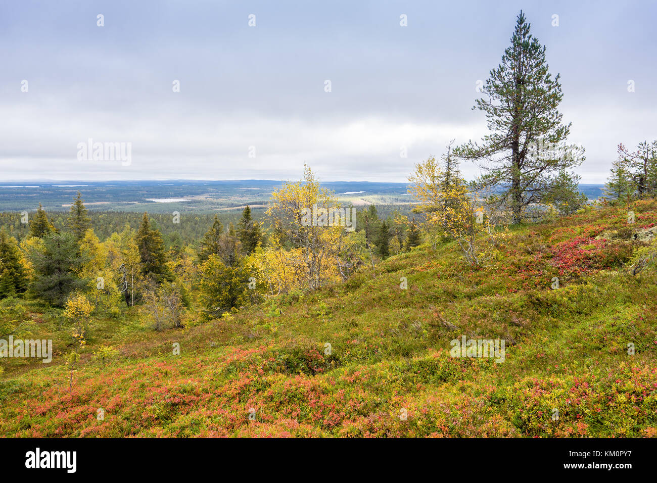 Mountains, forests, lakes view in autumn. Fall colors ruska time in