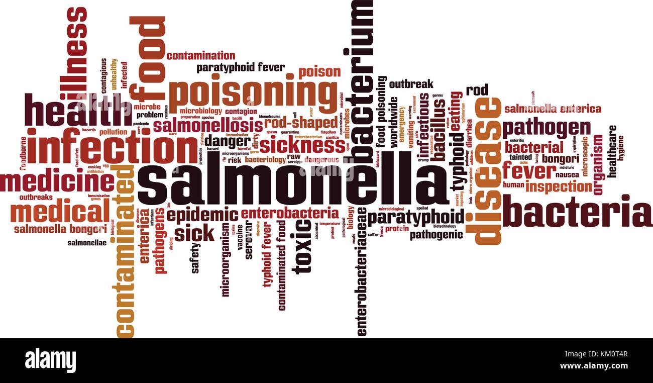 Salmonella word cloud concept. Vector illustration Stock Vector
