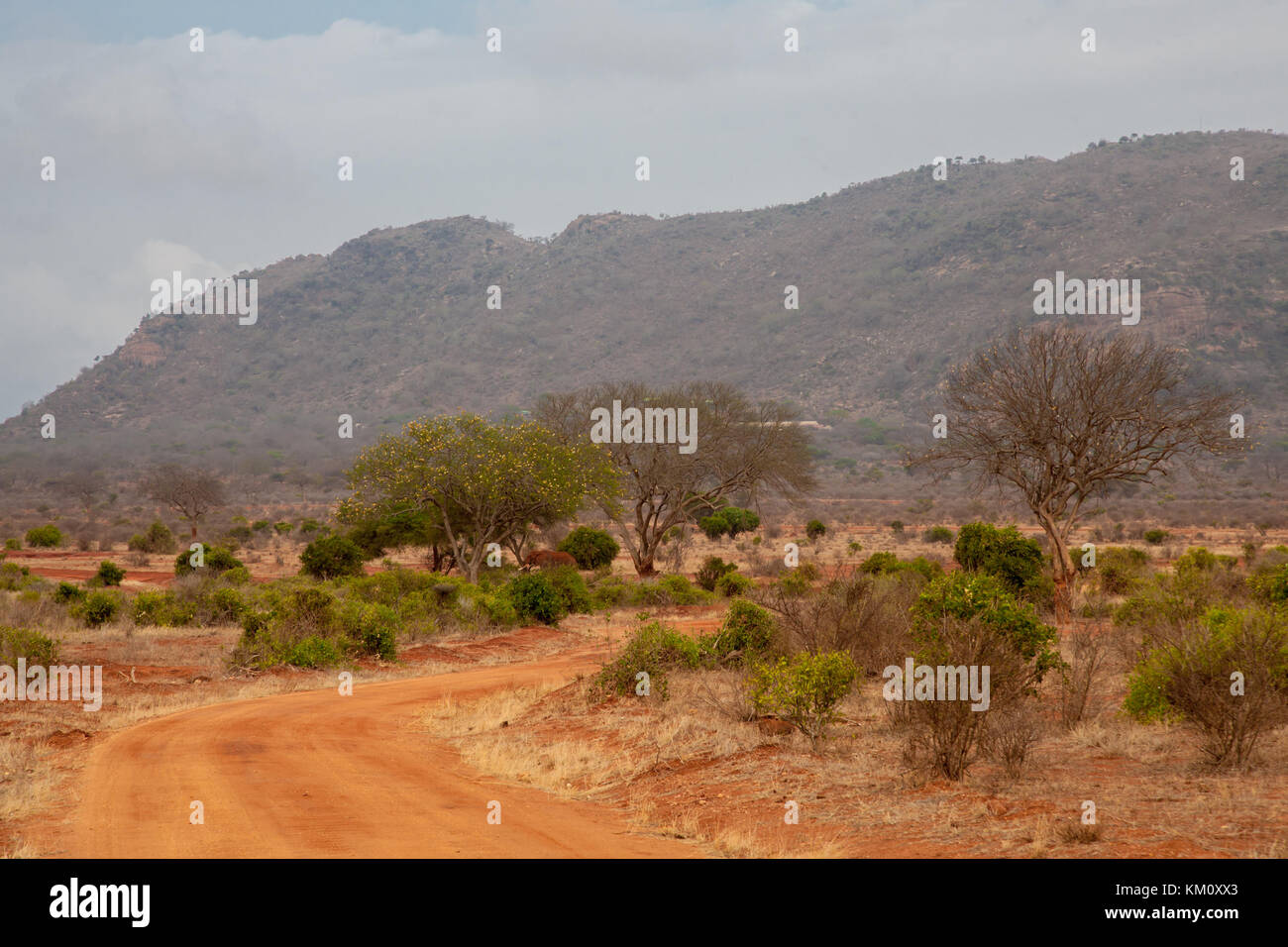 Landscape of Kenya, red soil and trees and hills in the savannah Stock Photo