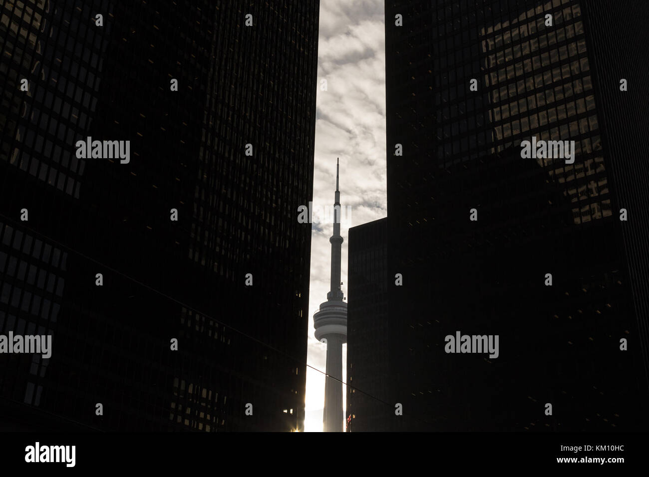 TORONTO, CANADA - DECEMBER 20, 2016: Canadian National Tower (CN Tower) surrounded by more modern buildings in downtown Toronto. CN Tower is the talle Stock Photo