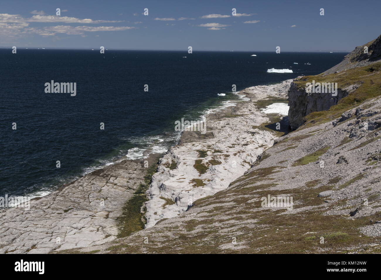 The limestone barrens and cliffs of Burnt Cape Ecological Reserve