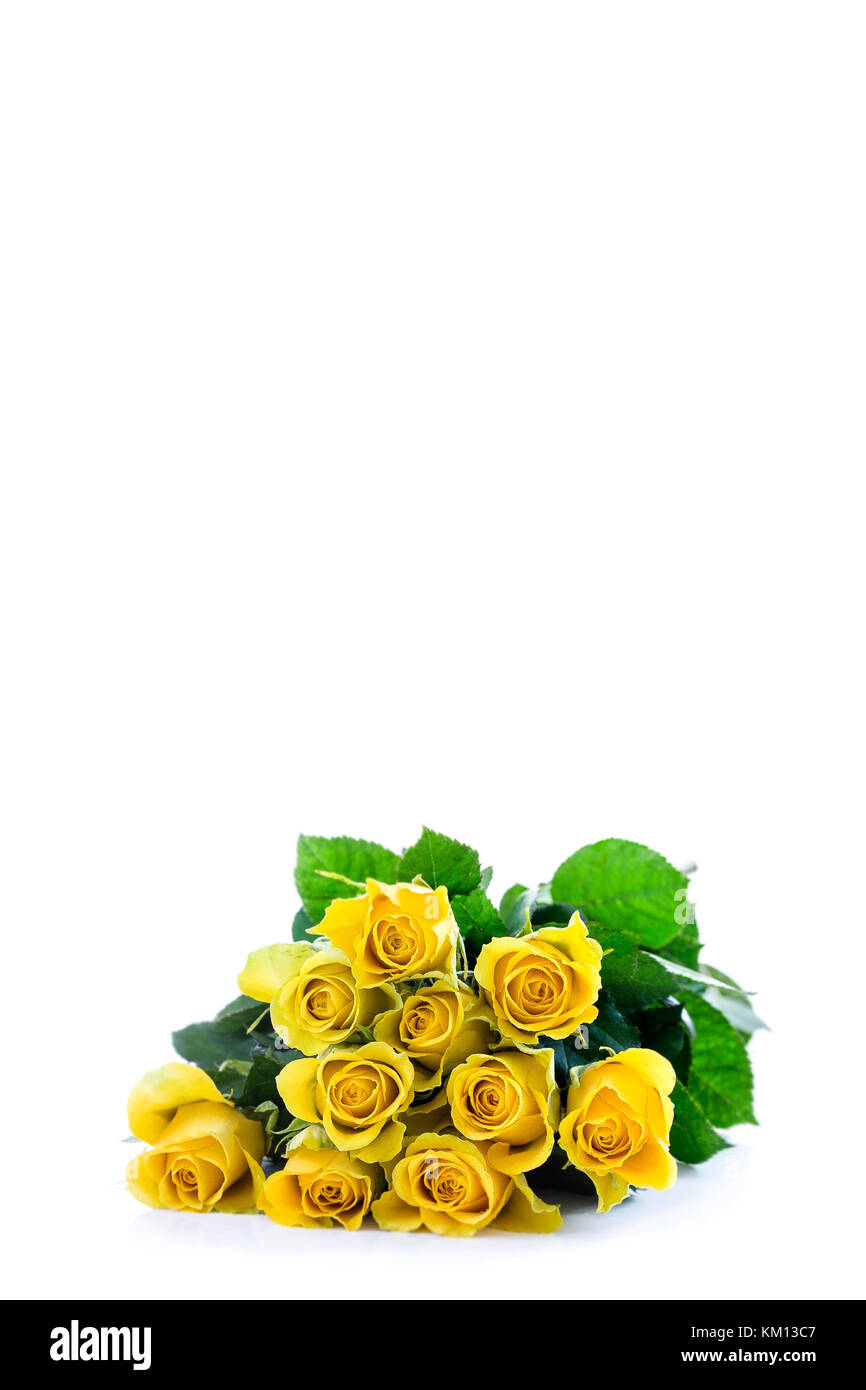 A classic bouquet of yellow roses rotating against white background. vertical copy space on top Stock Photo