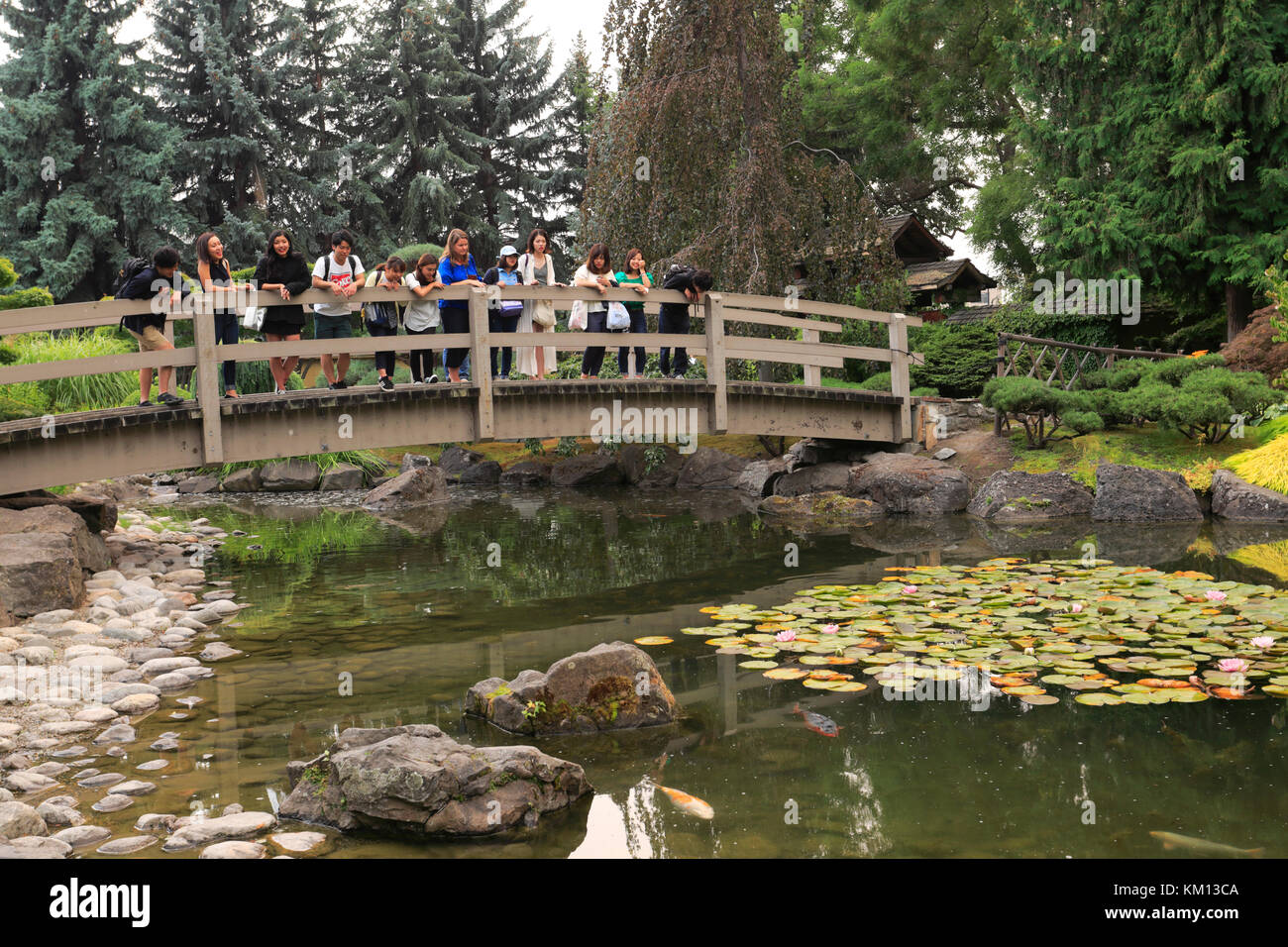 View inside the Japanese Kasugai gardens, Kelowna City, Okanagan valley