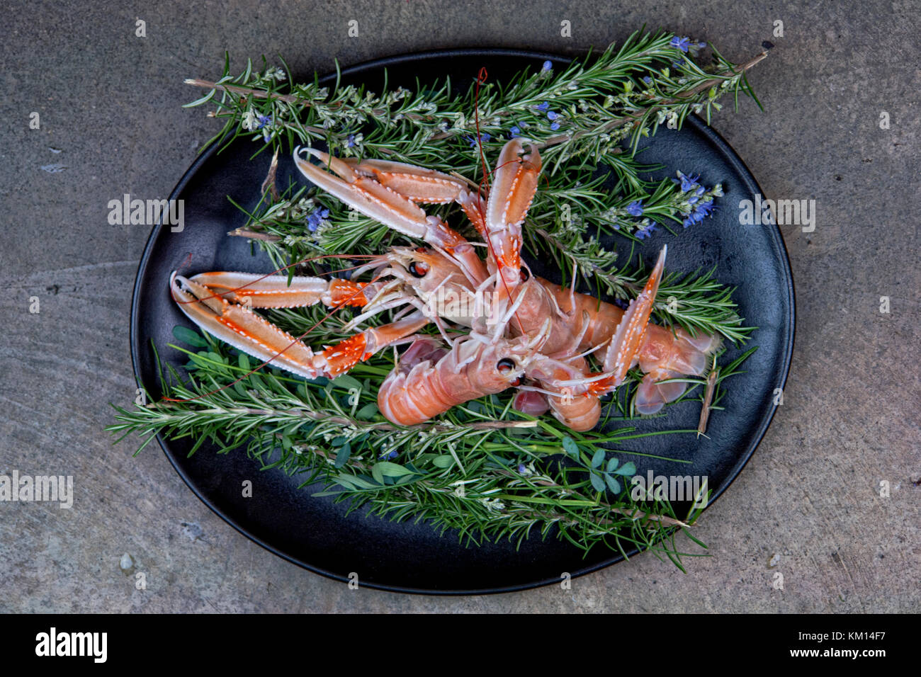 Scampi Stock Photo