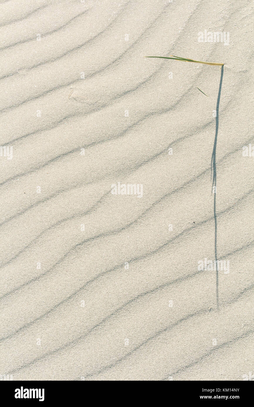 Angular Grains High Resolution Stock Photography and Images Alamy