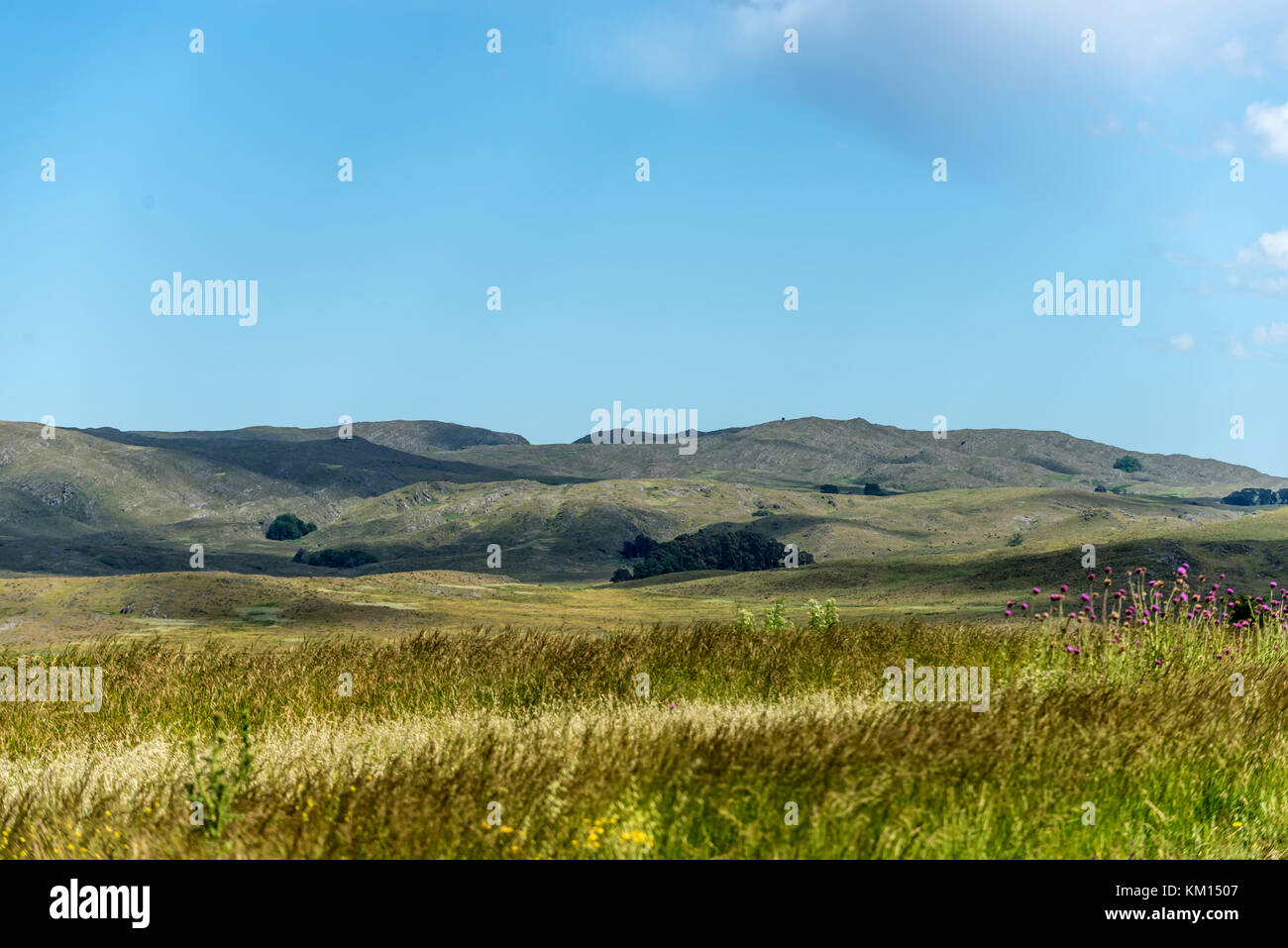 Trenque Lauquen,  Argentina Stock Photo