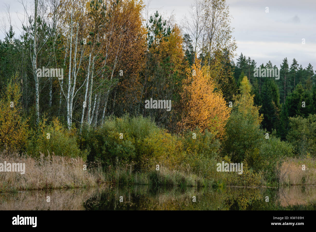 lake with water reflections in colorful autumn day with white clouds in ...