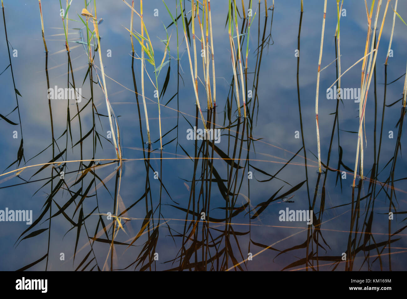 lake with water reflections in colorful autumn day with white clouds in ...