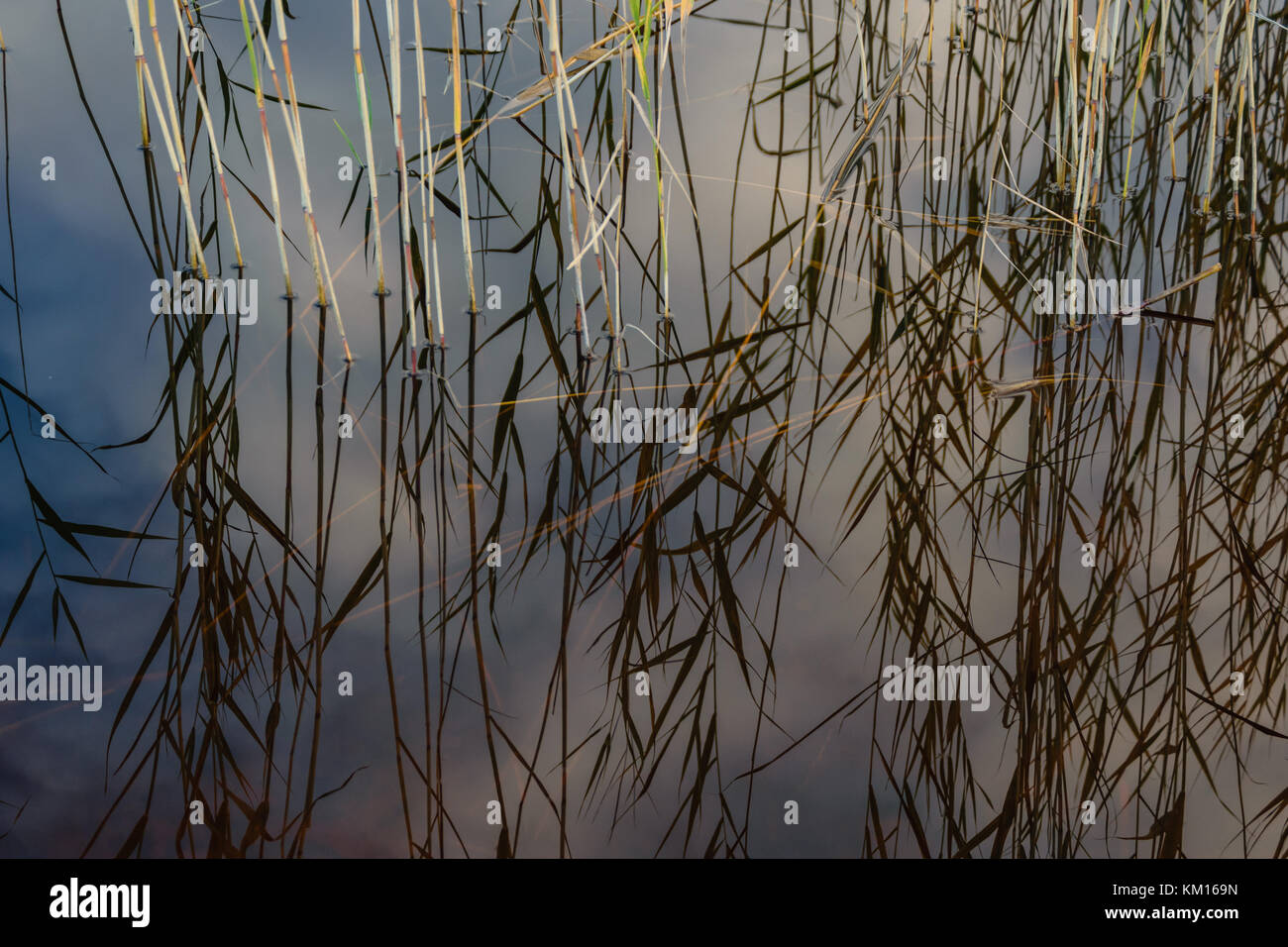 lake with water reflections in colorful autumn day with white clouds in ...