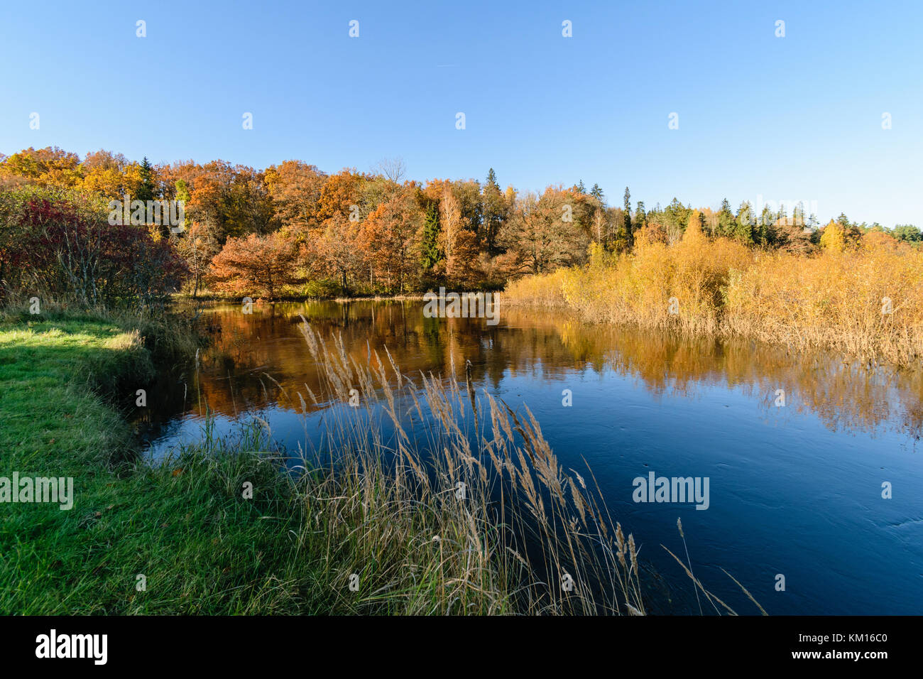 lake with water reflections in colorful autumn day with white clouds in ...